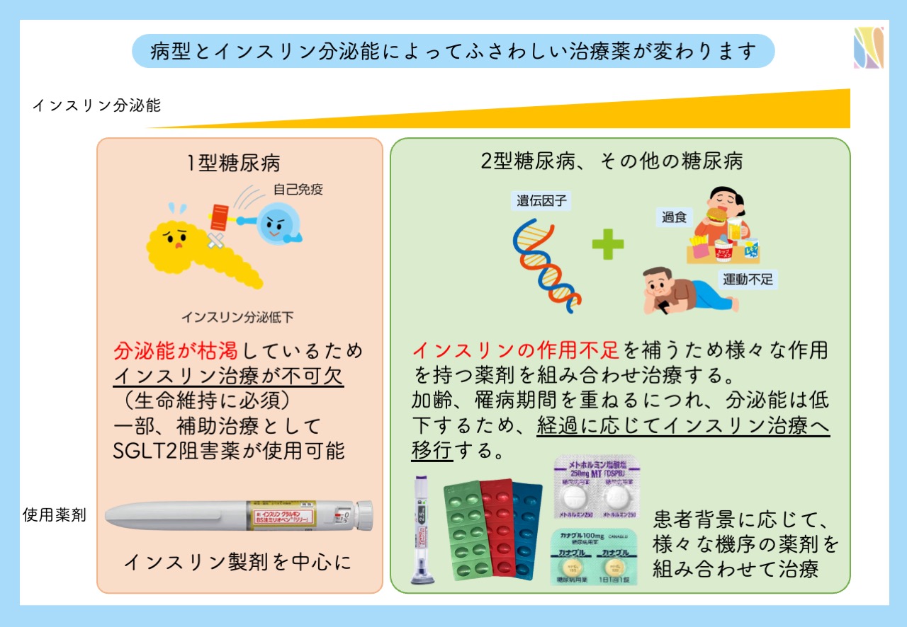 糖尿病治療薬（インスリン、メトホルミン、SGLT2阻害薬、GLP-1受容体作動薬）を簡単に紹介、ダイエット作用のある医薬品も -  福岡市天神の内科・糖尿病内科｜19時まで診療| なないろクリニック